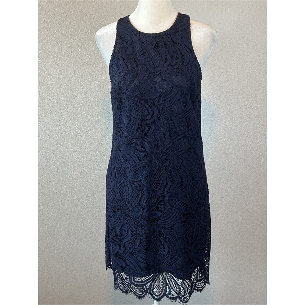 Aritzia Babaton Sleeveless Lace Dress Blue Size 2